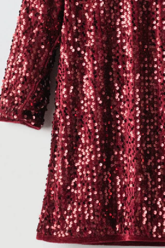 Φόρεμα Ebita 255095 μπορντό