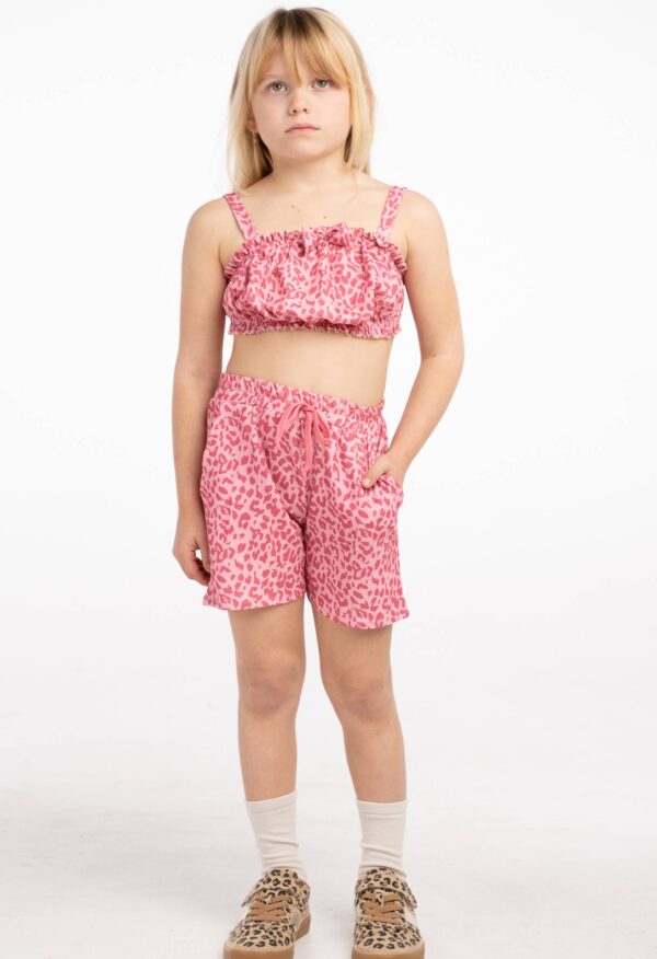 6238 Σετ EBITA 266238 φούξια