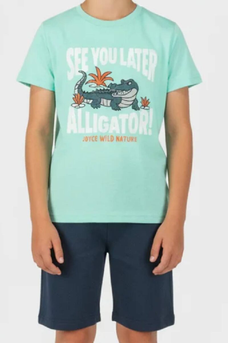 Σετ JOYCE 2614140 λαχανί