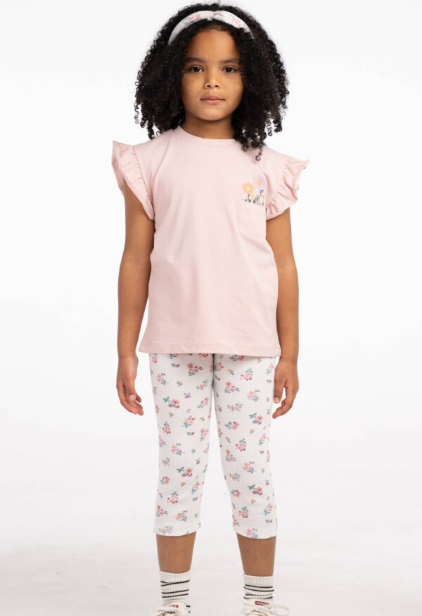 6244 Σετ Ebita 266244 ροζ